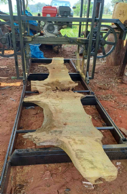 Tampos de  mesa de centro - em construo